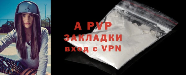 прущие крисы Магадан