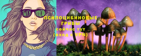 ALPHA-PVP Гусиноозёрск