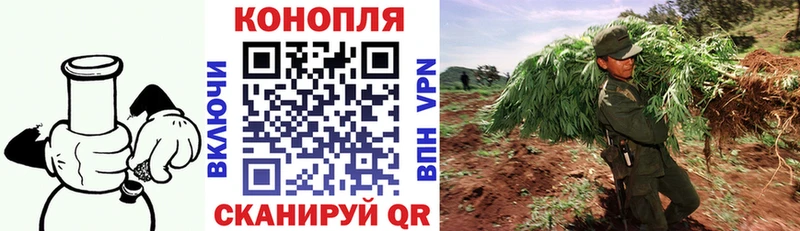 купить наркотики цена  Омутнинск  Конопля семена 